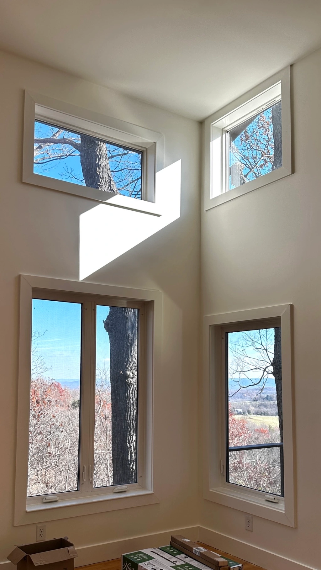 Paint and Floors Reveal with Cost&nbsp;Breakdown